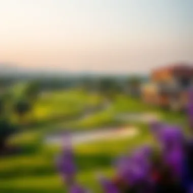 Magnificent An In-Depth Examination of Dubai Golf Courses