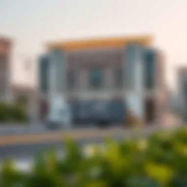 Magnificent Comprehensive Guide to Movers and Packers from Abu Dhabi to Dubai