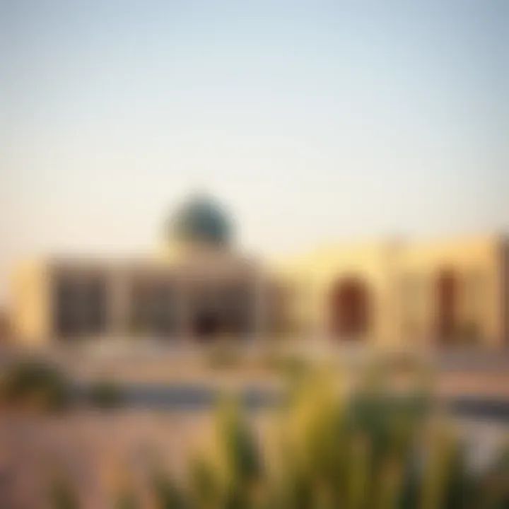 Magnificent Exploring Al Dhafra Area: A Comprehensive Insight