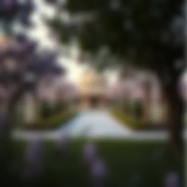 Magnificent Exploring Lilac Park in Jumeirah Village Circle: A Comprehensive Guide Magnificent Exploring Lilac Park in Jumeirah Village Circle: A Comprehensive Guide