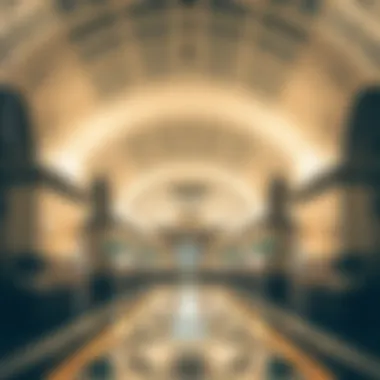 Magnificent Exploring Salah Al-Din Metro Station: A Vital Nexus in Dubai's Transport Network Magnificent Exploring Salah Al-Din Metro Station: A Vital Nexus in Dubai's Transport Network