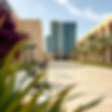 Magnificent Exploring Studio Rentals in Jebel Ali Magnificent Exploring Studio Rentals in Jebel Ali