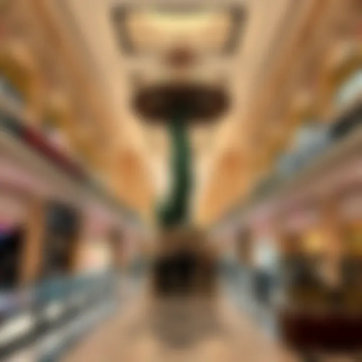Magnificent Exploring the Dragon Mall: A Comprehensive Overview