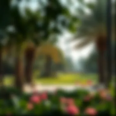 Magnificent Exploring Zaabeel Park: A Green Oasis in Dubai
