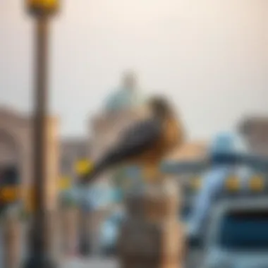 Magnificent The Deira Falcon: A Cultural and Economic Treasure in Dubai