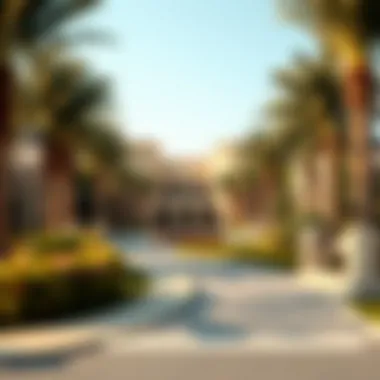Community Park in Rashidiya Community park in Rashidiya