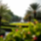 Serenity in Al Park A serene view of Al Park showcasing lush greenery and open spaces