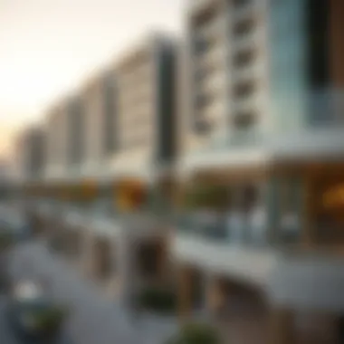 Notable An In-Depth Exploration of Nakheel Developments