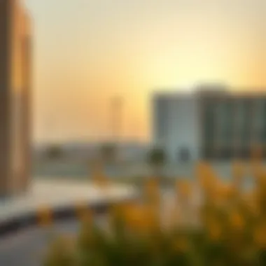 Notable Exploring Al Dhafra Area: A Comprehensive Insight