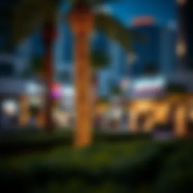 Amenities Enhancing Life in Bur Dubai Amenities available in Bur Dubai including parks and shopping areas