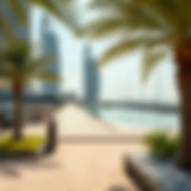 Exploring Creek Beach, Dubai: A Comprehensive Guide Summary