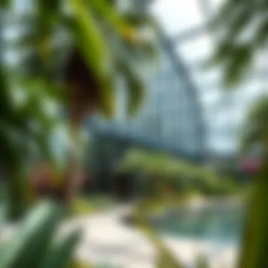 Notable Exploring Discovery Gardens: A Comprehensive Insight