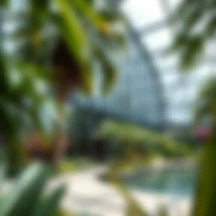 Notable Exploring Discovery Gardens: A Comprehensive Insight