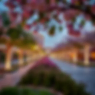 Notable Exploring Lilac Park in Jumeirah Village Circle: A Comprehensive Guide Notable Exploring Lilac Park in Jumeirah Village Circle: A Comprehensive Guide