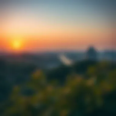 Sunset view over Nad Al Sheba Forest highlighting urban integration