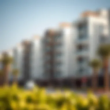 Notable Exploring Ras Al Khor Apartments: An In-Depth Analysis Notable Exploring Ras Al Khor Apartments: An In-Depth Analysis