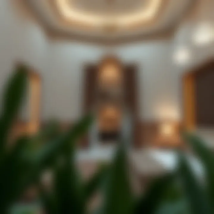 Exploring Room Rentals in Al Baraha Summary
