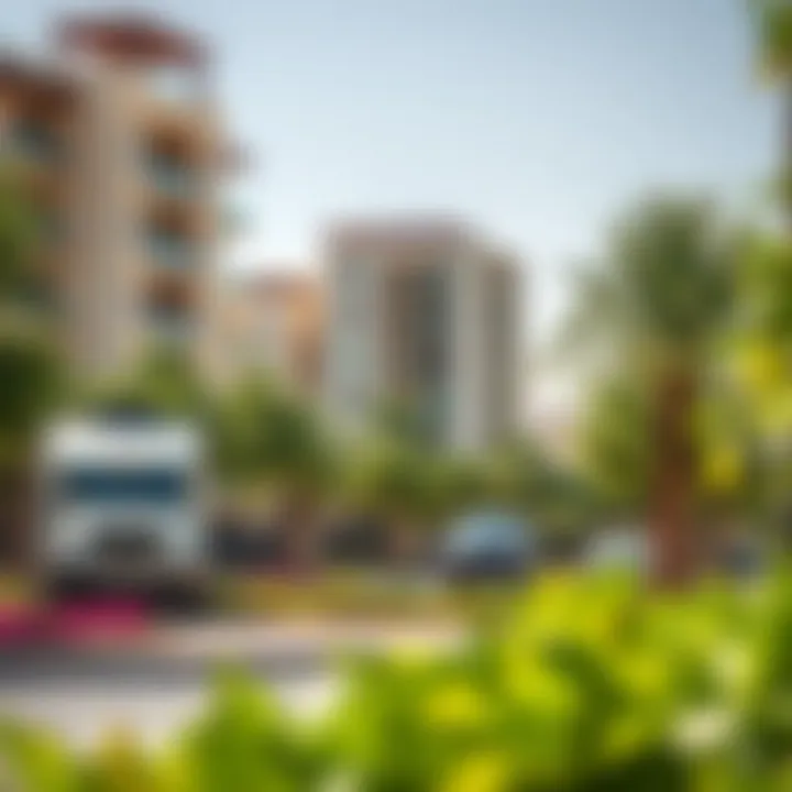 A vibrant neighborhood in South Dubai with lush green spaces and community amenities