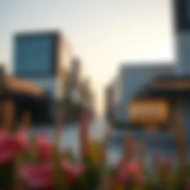 Notable Exploring Studio Rentals in Jebel Ali Notable Exploring Studio Rentals in Jebel Ali
