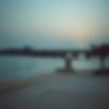 Exploring Sufouh Beach: A Hidden Gem in Dubai's Coastal Landscape Introduction