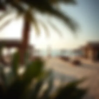 Notable Exploring Sufouh Beach: A Hidden Gem in Dubai's Coastal Landscape