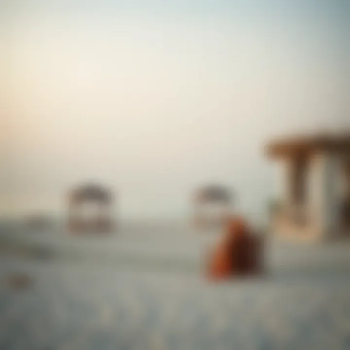 Exploring Sufouh Beach: A Hidden Gem in Dubai's Coastal Landscape Summary