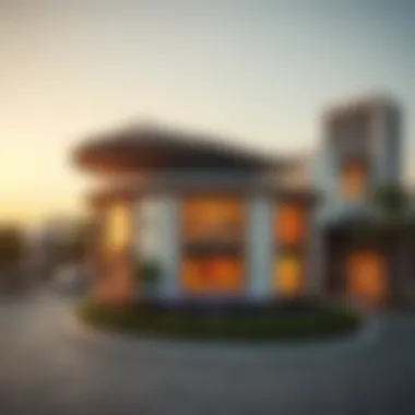 Exploring the Best Apps in Dubai Summary Exploring the Best Apps in Dubai Summary