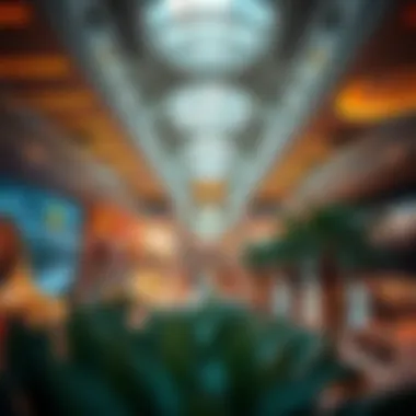 Exploring the Dragon Mall: A Comprehensive Overview Introduction
