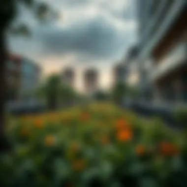 Visual representation of conservation efforts in urban landscapes