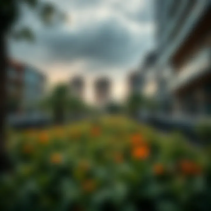 Visual representation of conservation efforts in urban landscapes