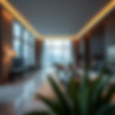 Luxurious Interiors of TNS Residences Luxurious interiors within TNS Dubai Marina residences