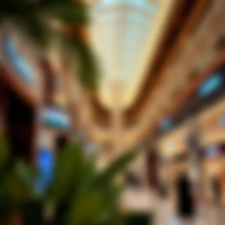 Exploring Town Square Mall: A Nexus of Retail and Community in Dubai Summary