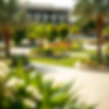 Community Amenities and Landscaping in Jumeirah Park Lush landscaping and community amenities in Jumeirah Park