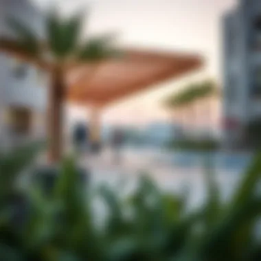 Community Amenities Enhancing Life in Lulu Village Community amenities in Lulu Village, showcasing the lifestyle and conveniences for residents