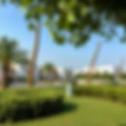 Serene landscape of Nad El Sheba Gardens showcasing lush greenery