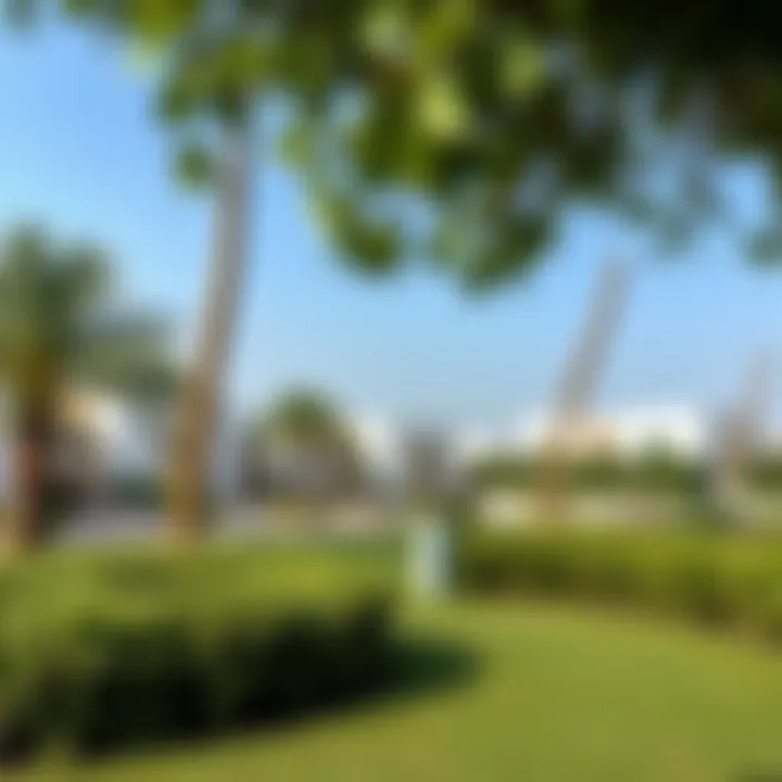 Lush Greenery of Nad El Sheba Gardens Serene landscape of Nad El Sheba Gardens showcasing lush greenery
