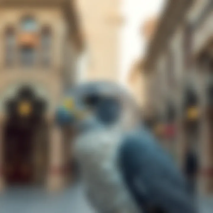 The Deira Falcon: A Cultural and Economic Treasure in Dubai Summary
