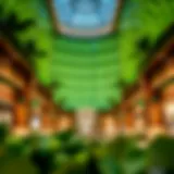 The Evolution and Significance of Lime in Dubai Hills Mall Introduction