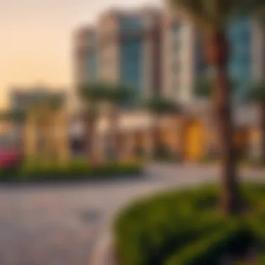 Local amenities and community parks in Warsan 2